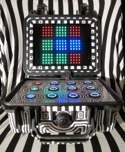 OTTER's Rubox Peli Case